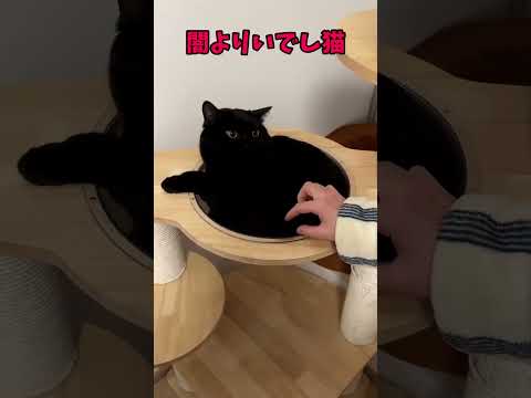 見てるだけで頬がゆるむ