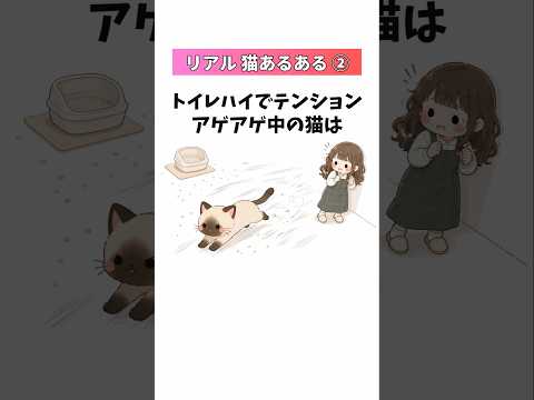 猫飼いなら絶対わかる、地味にしんどい猫の現実30選② 猫あるある 飼い主あるある 猫の雑学 音声「VOICEVOX:ず… サムネイル