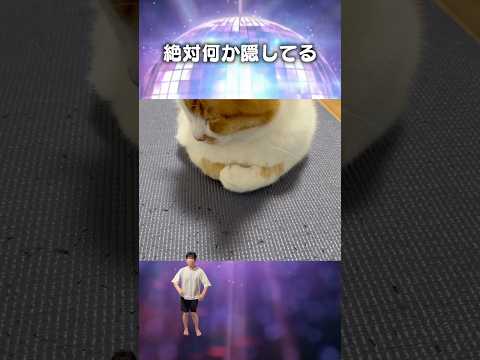 「絶対何か隠してる」猫あるある|フルはApple Musicほか音楽アプリへ サムネイル