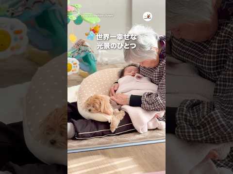 世界一幸せな光景のひとつ｜PECO サムネイル