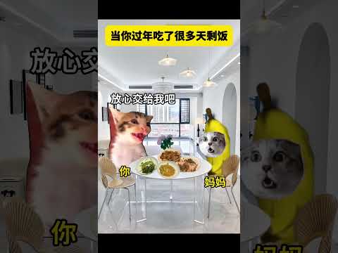 当你过年吃了很多天剩饭 有趣 猫meme 猫meme剧场 猫meme小剧场 内容过于真实  故事 貓 猫猫meme小剧…