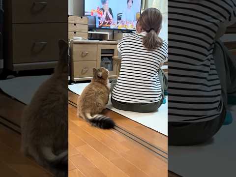 お化粧して、どこ行くん？