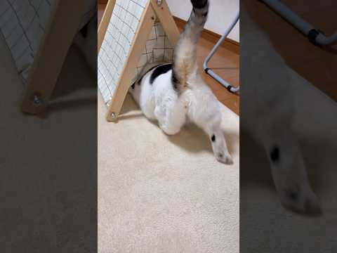 出たところから入る サムネイル