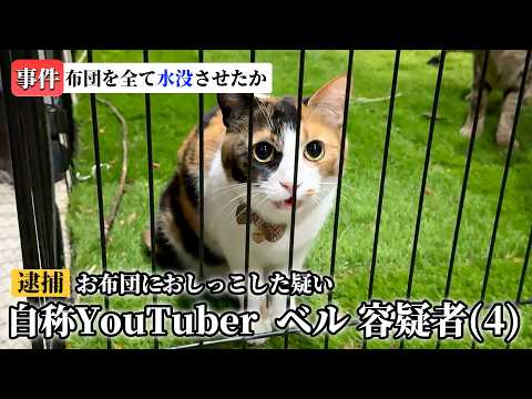 ベルちゃんが逮捕されました。 サムネイル