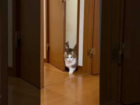 えっ私は行っていいの？