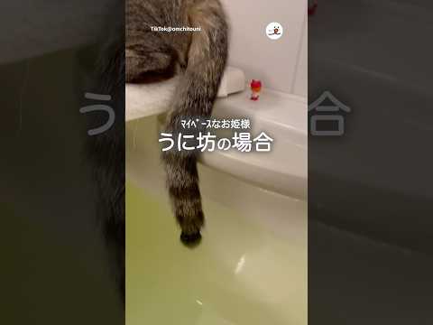 ふたりとも気付いてない…｜PECO サムネイル
