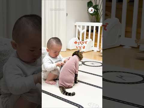 採寸させてくれる✨｜PECO サムネイル