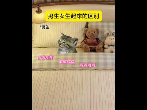 男生女生起床的区别 有趣 猫meme 猫meme剧场 猫meme小剧场 内容过于真实 故事 貓 猫猫meme小剧场…