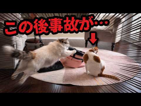 この後、地獄です。 サムネイル