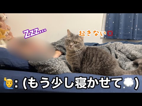 パパを起こしに来た猫の末路が... サムネイル