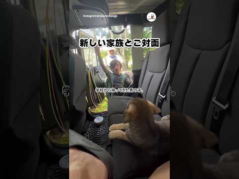 はじめましての瞬間｜PECO サムネイル