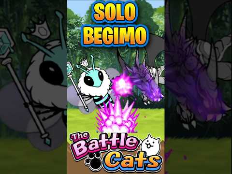 Coronacion De La Reina Solo Con El Gato Begimo | The Battle… サムネイル