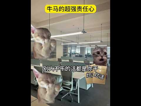 牛马的超强责任心 有趣 猫meme 猫meme剧场 猫meme小剧场 内容过于真实  故事 貓 猫猫meme小剧场 喵… サムネイル