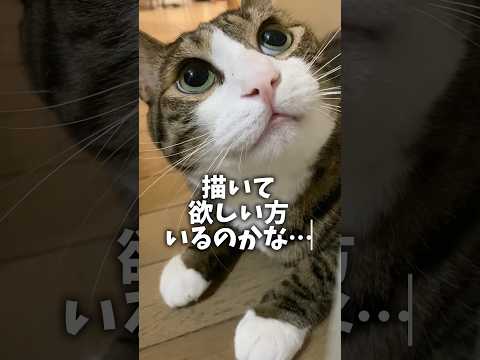 癖の強いイラスト描いて欲しい？cats shorts 球太 サムネイル