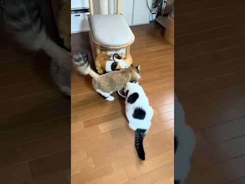 息子がまだ食ってる途中でしょうが!