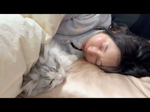 深夜2時に添い寝で温めてくれる子猫が可愛すぎる…w サムネイル