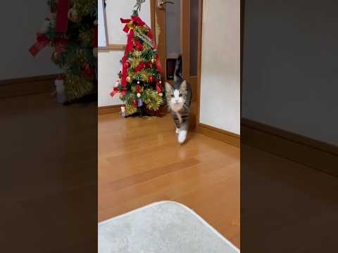 おかえり サムネイル