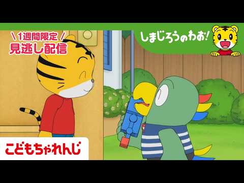 【見逃し配信】テレビ番組「しまじろうのわお！」 5月23日放送 ｜とりっぴいを しんじる？｜725【しまじろうチャンネ… サムネイル