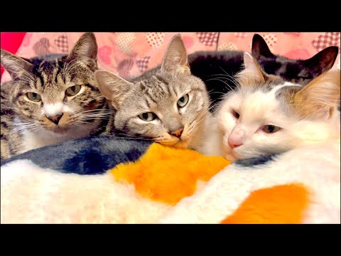 久しぶりの生中継と大切なお知らせ サムネイル