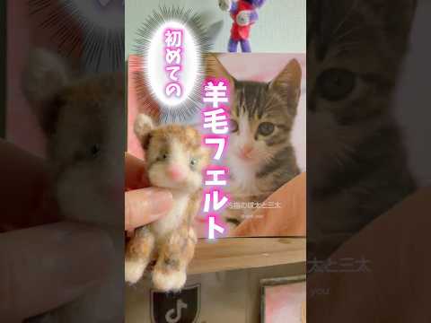 似てないくらいがちょうど良いcats shorts 球太 サムネイル