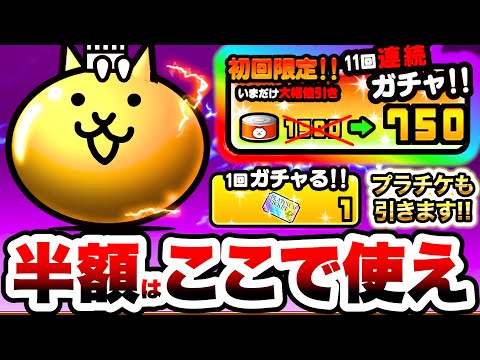 話題の最終半額ガチャが到来！プラチケ引きのベストタイミング解説