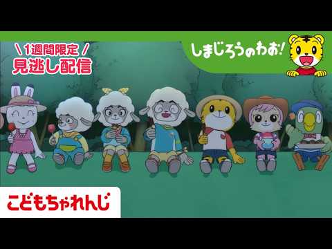 【見逃し配信】テレビ番組「しまじろうのわお!」 8月15日放送 |はなびに つれてって!|737【しまじろうチャンネル…