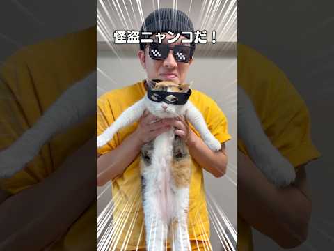 【猫あるある】おやつを盗む怪盗ニャンコ現る！ サムネイル