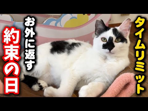 お外に返す約束の日…真面目なお話があります サムネイル