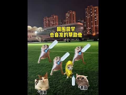 用爱浇灌出的心灵之话,会开的格外灿烂温柔 有趣 猫meme 猫meme剧场 猫meme小剧场 内容过于真实 故事 貓…