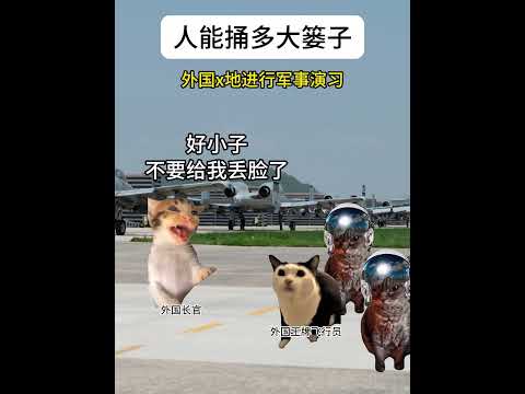 人能捅多大篓子 有趣 猫meme 猫meme剧场 猫meme小剧场 内容过于真实  故事 貓 猫猫meme小剧场 喵不… サムネイル