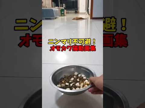 にっこにこ不可避☺ サムネイル