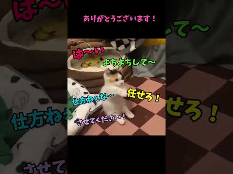 え、この子、反則級!🤤