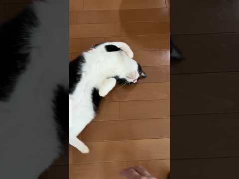 名前を呼んで欲しかったらしい