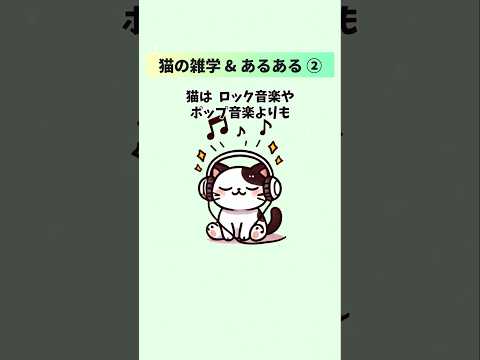かわいい猫の面白い雑学とあるある25選②  雑学 豆知識 トリビア  音声「VOICEVOX：ずんだもん」さん サムネイル