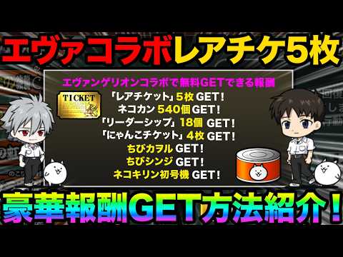 エヴァコラボでネコカン540個とレアチケ5枚をGETする方法紹介！超激レア確定ネコカン半額エヴァガチャが来た！にゃんこ… サムネイル