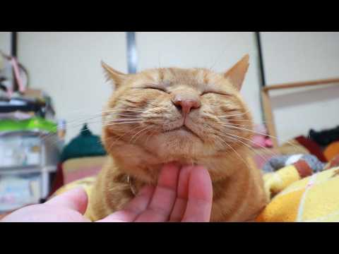麦茶お顔なでなで　260520 サムネイル