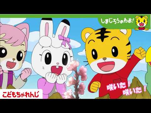 【16分アニメ】よみがえれ！　みんなの　さくら│お花見│春│しまじろうのわお！アニメ│しまじろうチャンネル公式 サムネイル