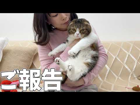 ご報告があります！ サムネイル