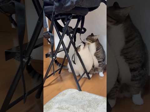 手使ったらええのに サムネイル