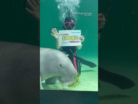 《鳥羽水族館》鳥羽水族館はYouTubeのチャンネル登録者数100万人を目指します❗️✨　鳥羽水族館 aquarium… サムネイル