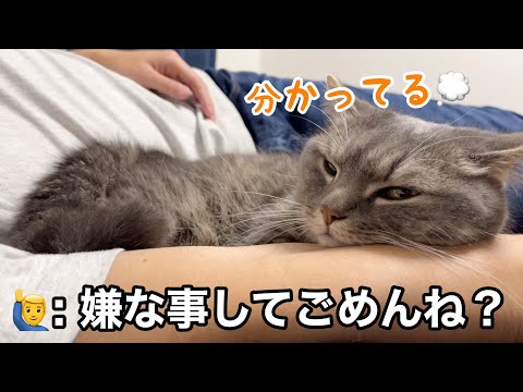 嫌なことをしたのに、猫は信頼してくれて… サムネイル