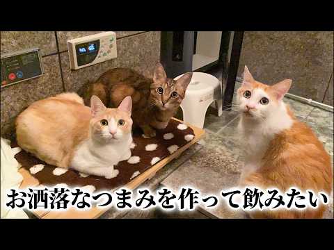 【🐈<生放送】猫たちとなんかお洒落なおつまみ作ってお酒を飲みませんか? サムネイル