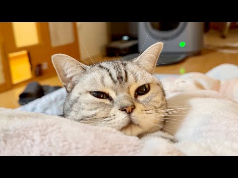 夜中に動けなくなりました。 サムネイル