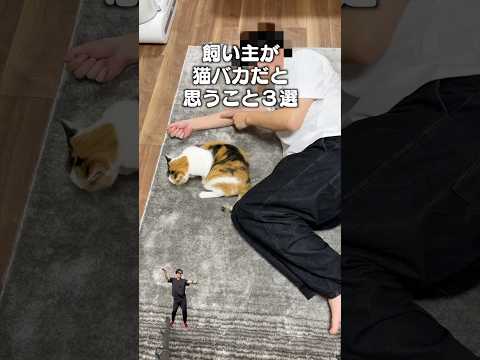 「飼い主が猫バカだと思うこと３選」猫あるある|フルはApple Musicほか音楽アプリへ サムネイル