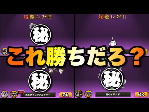 【サブ垢コレンジガチャ第二弾】無課金で１年かけて貯めたネコカンを全てをかけて超極ネコ祭ガチャを回す！　にゃんこ大戦争… サムネイル