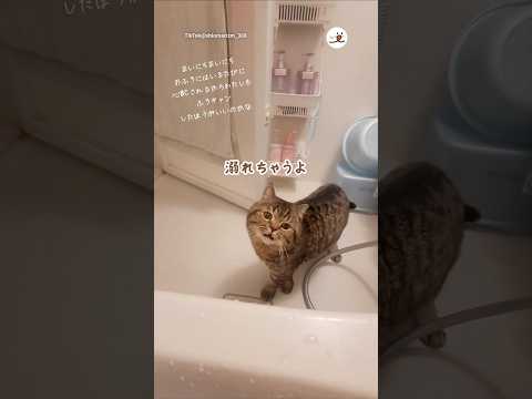 心配されすぎて風呂キャンしそう🥺｜PECO サムネイル