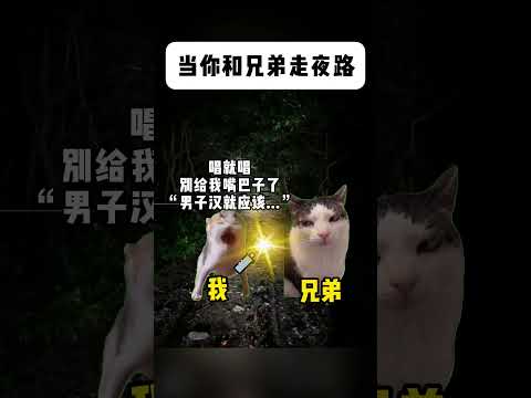 夜の兄弟と猫の神回！話題のmeme物語