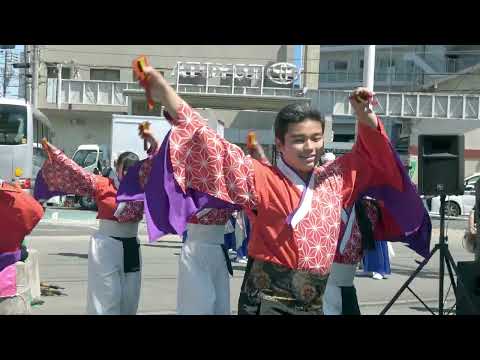 山村国際高校鳴子連②＠2026　陣屋通り商店会一周年祭 サムネイル