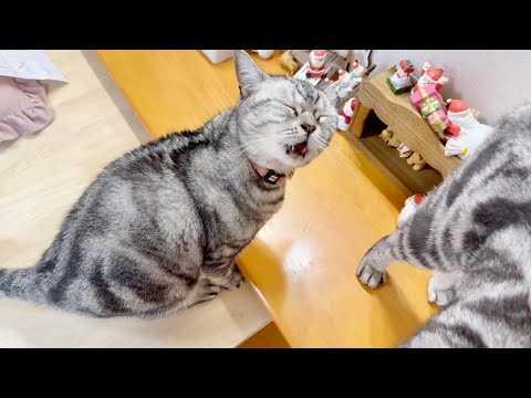 あいちゃんのお尻テイスティング サムネイル