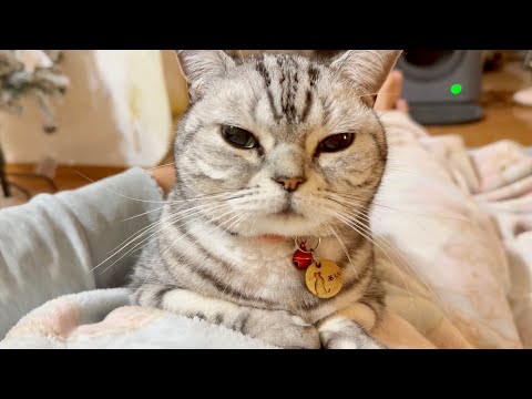 夜のあいをお見せするわ。 サムネイル